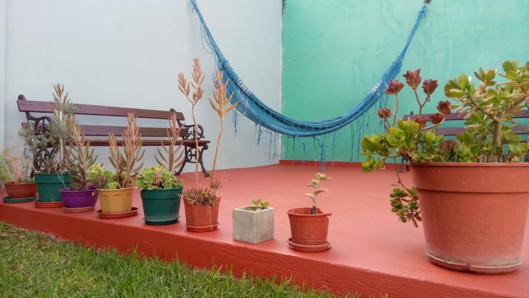 La Plata Hostel Dış mekan fotoğraf
